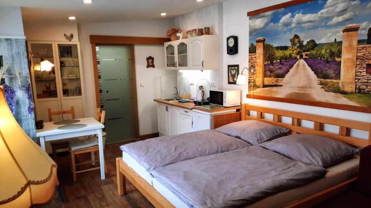 Apartman Za Kopcem 博斯科维采 外观 照片