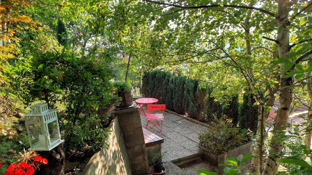 Apartman Za Kopcem 博斯科维采 外观 照片