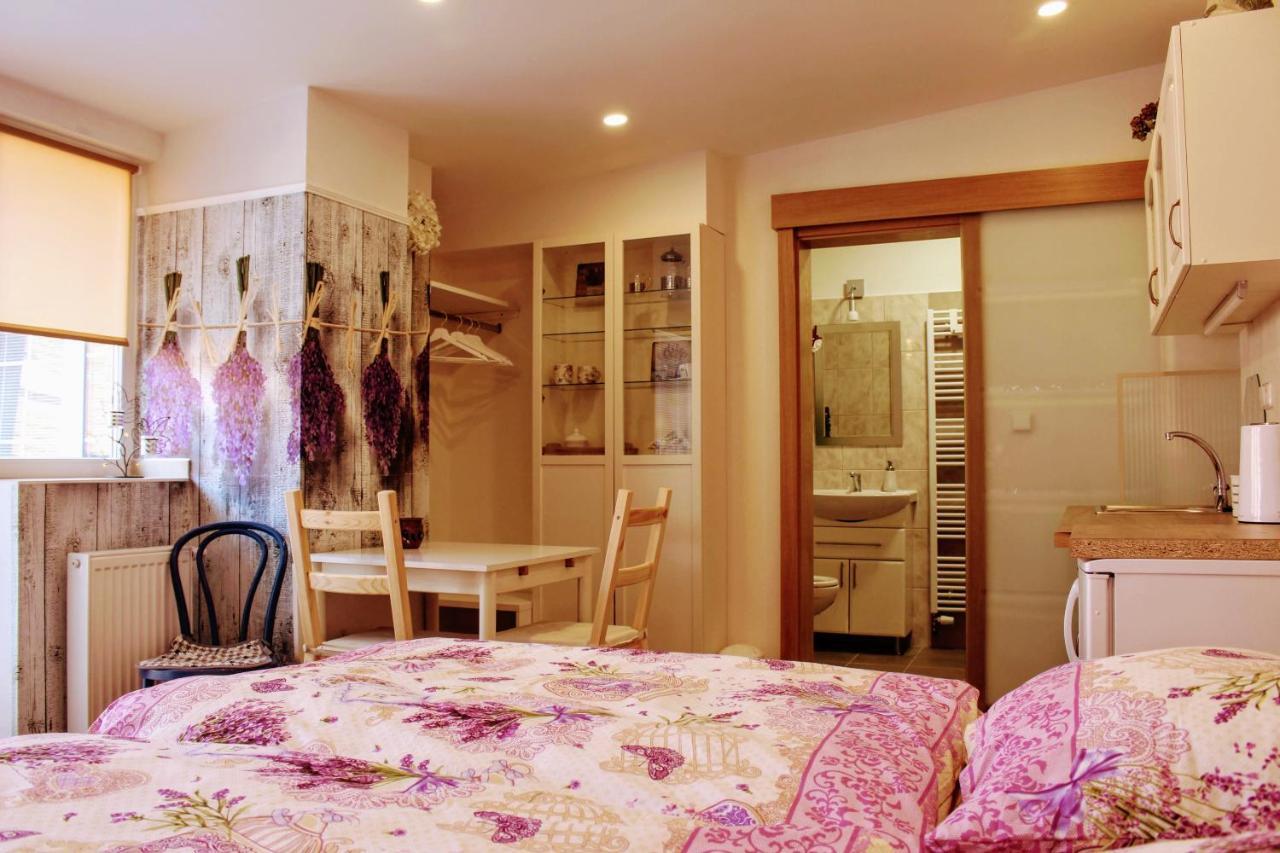 Apartman Za Kopcem 博斯科维采 外观 照片